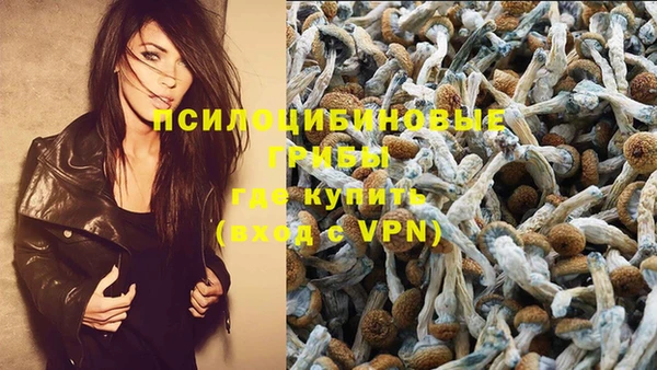 а пвп мука Алзамай